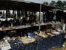 Hurricane Katrina Picture